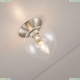CL102511 Настенно-потолочный светильник Citilux, Томми