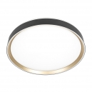 Citilux BOSS CL751451G LED RGB Светильник с пультом Чёрный с Золотом