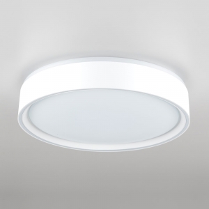 Citilux BOSS CL751250G LED RGB Светильник с пультом Белый