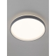 Citilux ENZO CL753453G LED RGB Светильник с пультом Серый + Белый