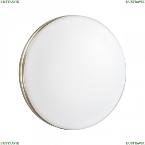 3015/AL Настенно-потолочный светильник Sonex (Сонекс), Smalli